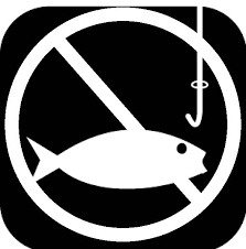 “FISHING EXPEDITION” OU PESCARIA PROBATÓRIA